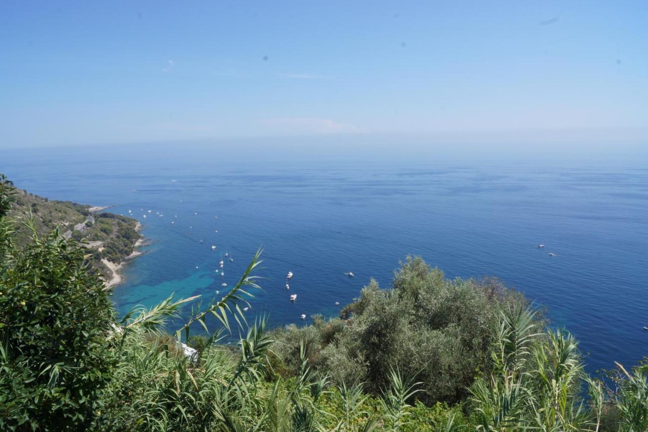 Total Sea View Grimaldi Lejlighed Ventimiglia Eksteriør billede